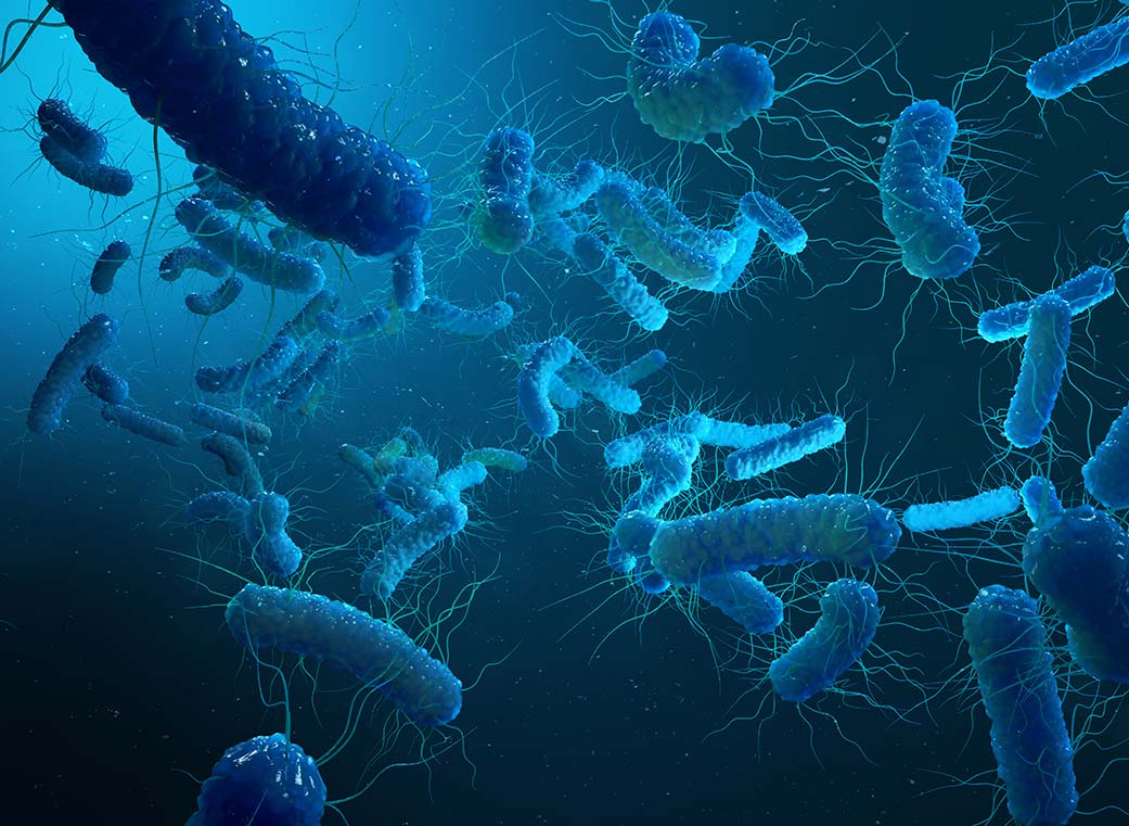 歯周病の原因は？